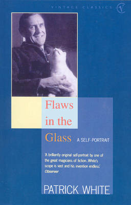 Book cover for Flaws in the Glass