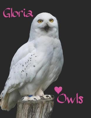 Book cover for Gloria Owls