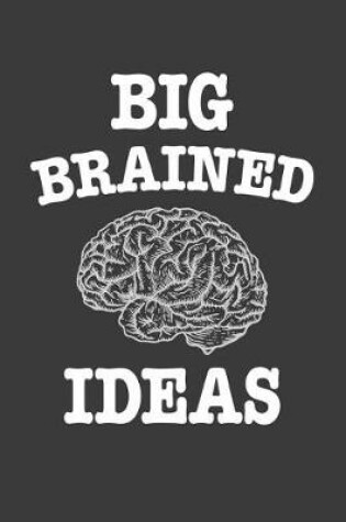 Cover of Big Brained Ideas