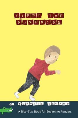 Book cover for Tippy Toe Surprise