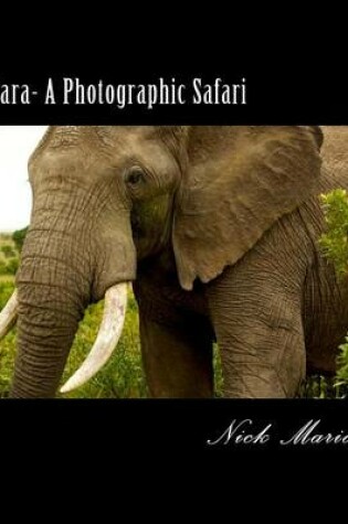 Cover of Masai Mara - A Photographic Safari