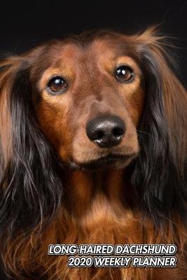 Book cover for Long-Haired Dachshund 2020 Weekly Planner