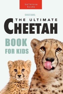 Book cover for Cheetahs