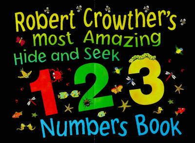 Book cover for Amazing Hide & Seek Counting Book