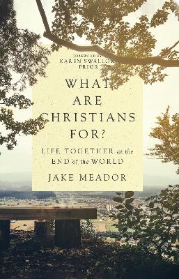 Book cover for What Are Christians For?