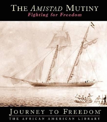 Book cover for The Amistad Mutiny