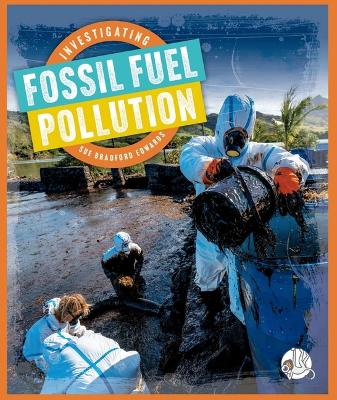 Book cover for Investigating Fossil Fuel Pollution