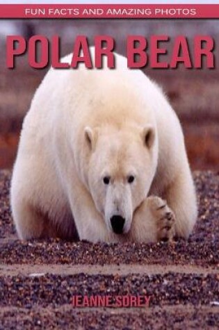 Cover of Polar bear