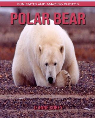 Book cover for Polar bear