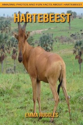 Cover of Hartebeest