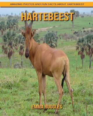 Book cover for Hartebeest