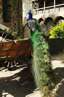 Book cover for Gorgeous Peacock in a European Courtyard Journal