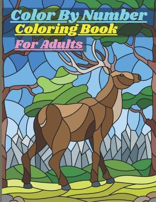 Book cover for Color By Number Coloring Book For Adults