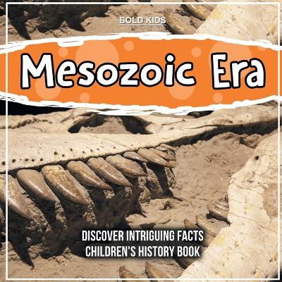 Book cover for Mesozoic Era Learning More About It - Children's History Book