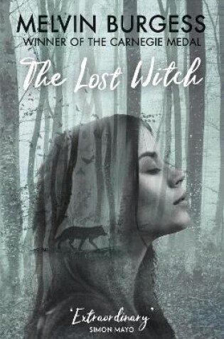 Cover of The Lost Witch