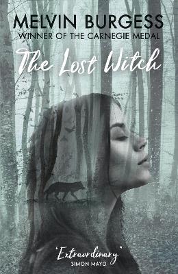 Book cover for The Lost Witch