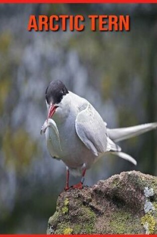 Cover of Arctic Tern