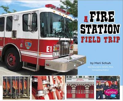 Book cover for Fire Station