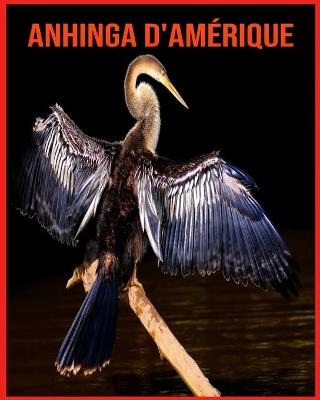 Book cover for Anhinga d'Amérique