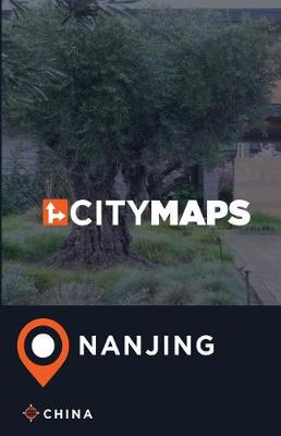 Book cover for City Maps Nanjing China