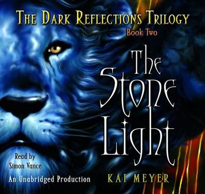Book cover for Stone Light Dark Reflections