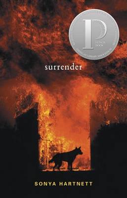 Book cover for Surrender