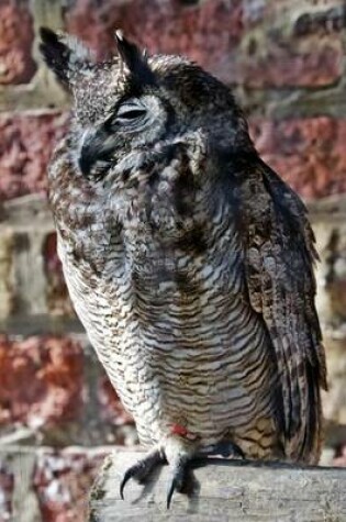 Cover of Wise Looking Eagle Owl Perched on a Pole