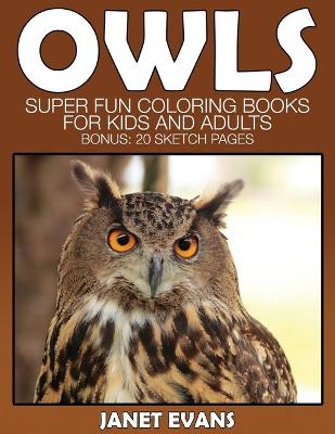 Book cover for Owl