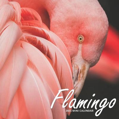 Book cover for Flamingo