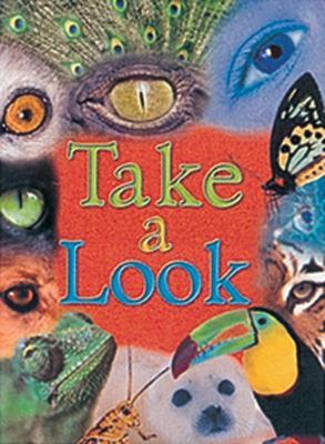 Book cover for Take a Look