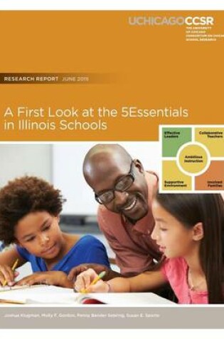 Cover of A First Look at the 5Essentials in Illinois Schools