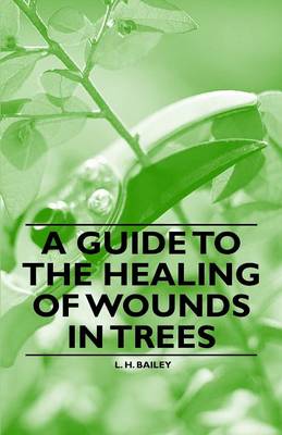 Book cover for A Guide to the Healing of Wounds in Trees