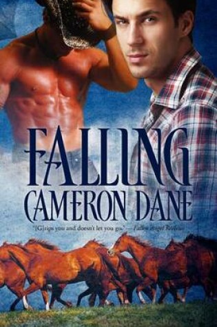 Cover of Falling (Hawkins Ranch)