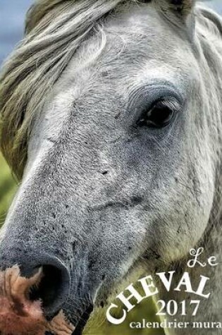 Cover of Le Cheval 2017 Calendrier Mural (Edition France)