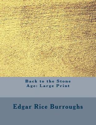 Book cover for Back to the Stone Age