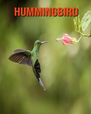 Book cover for Hummingbird