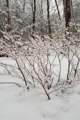 Cover of Journal Winter Storm Scenic