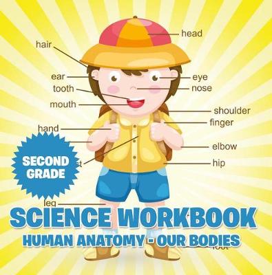 Book cover for Second Grade Science Workbook: Human Anatomy - Our Bodies