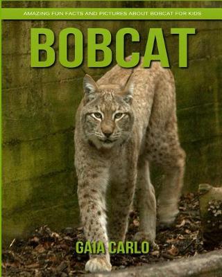 Book cover for Bobcat