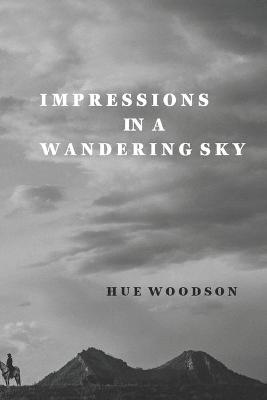 Book cover for Impressions in a Wandering Sky