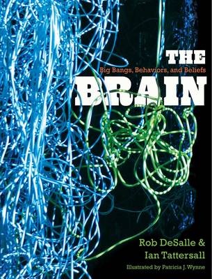 Book cover for The Brain