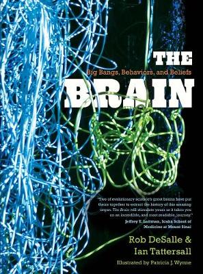 Book cover for The Brain