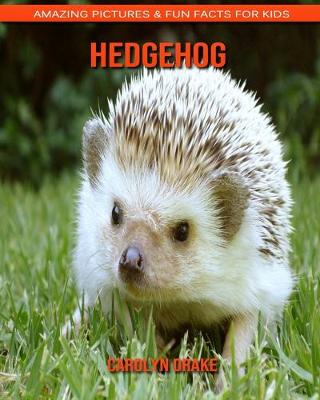 Book cover for Hedgehog