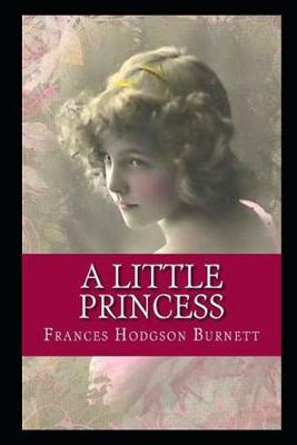 Book cover for A Little Princess By Frances Hodgson Burnett The New Annotated Work