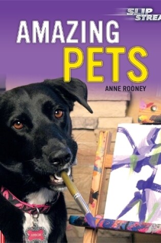Cover of EDGE: Slipstream Non-Fiction Level 2: Amazing Pets