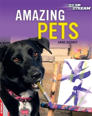 Book cover for EDGE: Slipstream Non-Fiction Level 2: Amazing Pets