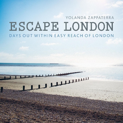 Book cover for Escape London