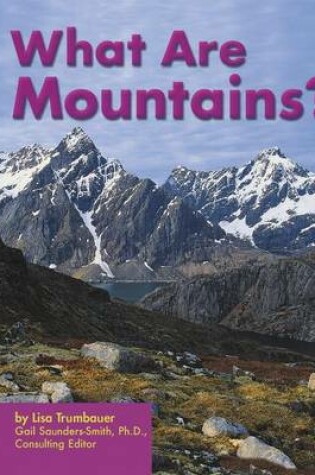 Cover of What Are Mountains?