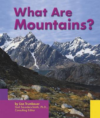 Book cover for What Are Mountains?