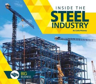 Book cover for Inside the Steel Industry